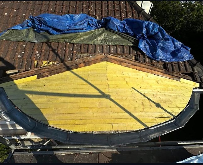 Ramonage au Chesnay-Rocquencourt (78150) - Fréderic Couverture en Yvelines (78)